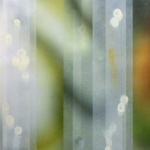 The Space Between 52 by Jane Guthridge