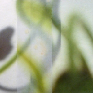 The Space Between 58 by Jane Guthridge