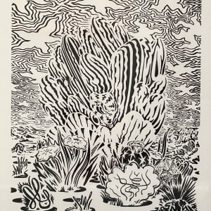 Cactus Spring Aria by Larry Bob Phillips