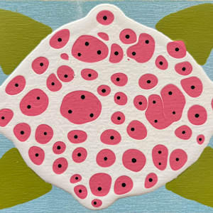 Pomegranate by Peter Voshefski