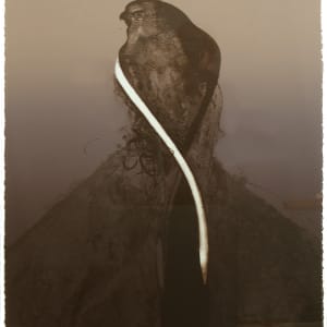 Acoma Hawk IV by Nathan Oliveira