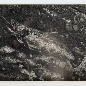 The Trout (after Courbet) by Vic Muniz