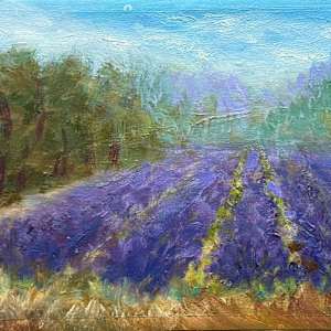 Lavender into the Distance by Betty Huang