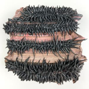 Eye Brows by Sylvia Calver