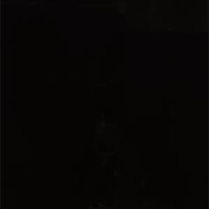 Coca-Cola (210.CC), 2008 by Emilio Chapela