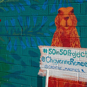 50 in 50 Murals (Cheyenne, WY) by Marcus, Desirée Brothe 