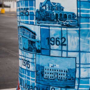 Blue Cross Blue Shield by James Overstreet 