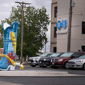 Blue Cross Blue Shield by James Overstreet 