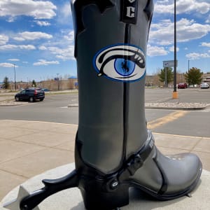 Cheyenne Vision Clinic Boot 