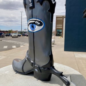 Cheyenne Vision Clinic Boot 