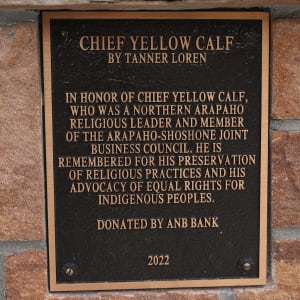 Yellow Calf by Tanner Loren 