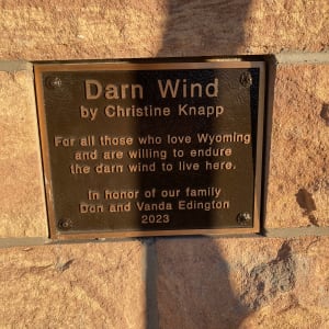 Darn Wind by Christine Knapp 