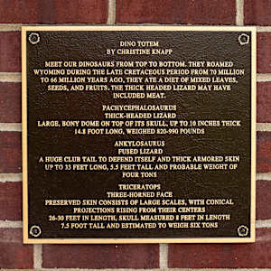 Dino Totem by Christine Knapp 