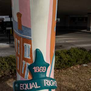 Wyoming Women First to Vote by Cathy Nicholas 