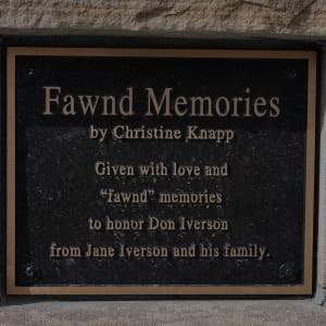 Fawnd Memories by Christine Knapp 