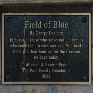 Field of Blue by George Lundeen 