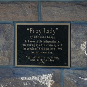 Foxy Lady by Christine Knapp 