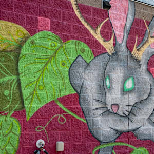 Hoppy Rabbit by Brendon Atkinson