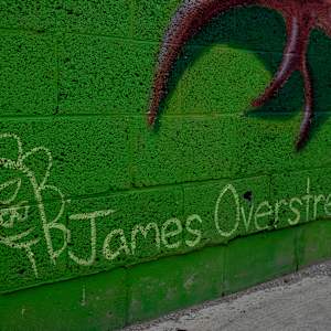 Habitat For Humanity Murals by Jordan Dean, James Overstreet, Kevin Phillips  Image: *James Overstreet Signature