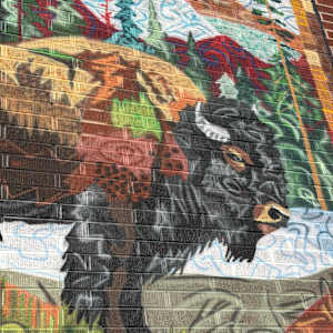 Bison Quilt by James Overstreet, Image 2.
