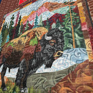 Bison Quilt by James Overstreet, Image 3.