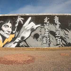 Bruce Lee Dragon by Eddie Fernandez 