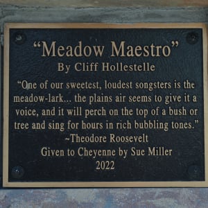 Meadow Maestro by Cliff Hollestelle 