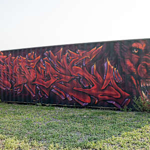 Container Murals @ The Railspur 