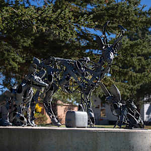 The Drill by Ken Little 