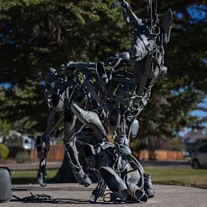 The Drill by Ken Little 