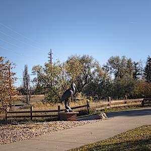 The Great Blue by Rich Haines 