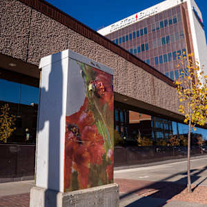 Untitled Utility Box by Vanda Edington 