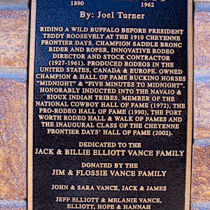 Verne Elliot by Joel Turner 