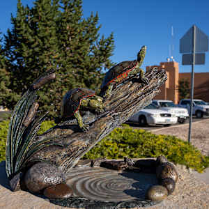 Wyoming Perserverance by Christine Knapp 