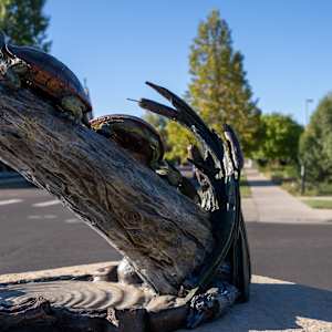 Wyoming Perserverance by Christine Knapp 