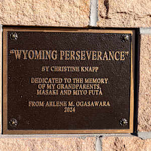 Wyoming Perserverance by Christine Knapp 