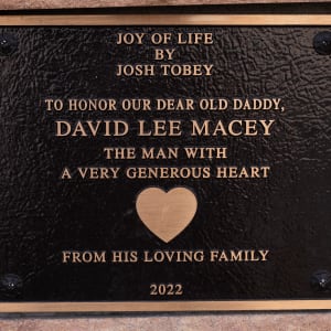 Joy of Life by Josh Tobey 