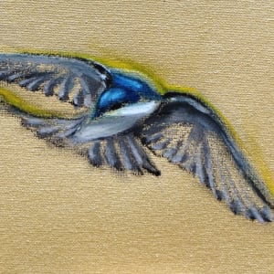 Sixteen Swallows 2018 by Denise Richard 