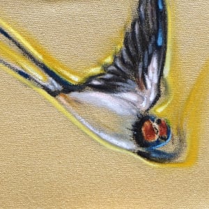 Sixteen Swallows 2018 by Denise Richard 