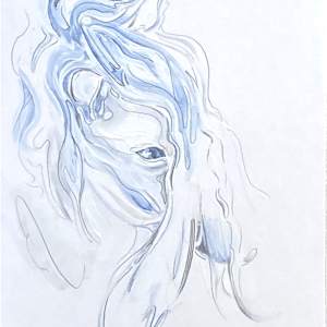 Equus 1.c 1.d 8x10 substrate by Denise Richard 
