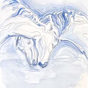 Equus 1.e 1.f 8x10 sub by Denise Richard 
