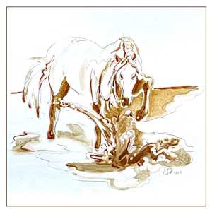 Equus 4 4.a 4.b  10 x10 substrate by Denise Richard 