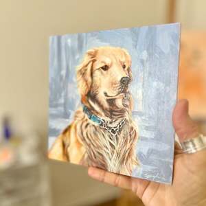 Shepherd by S.J. Dopheide 