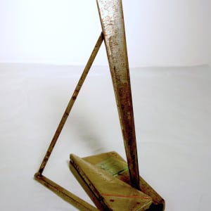 Arizona by David Bottini