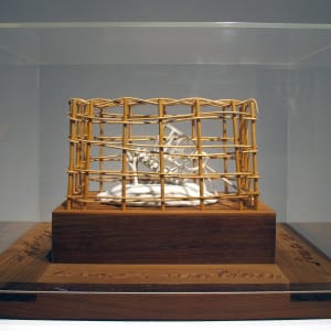 Anna as an Existential Thought in Linear Motion by Lucian Octavius Pompili