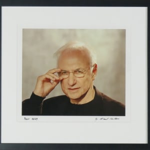 Frank Gehry by Michael Childers