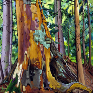 Old Growth Stump by Robert Lucy