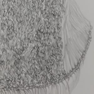 One clump of raffia reconstruction by Gala Porras-Kim  Image: Detail of "One clump of raffia reconstruction" by Gala Porras-Kim. Photo by Mikayla Whitmore.
