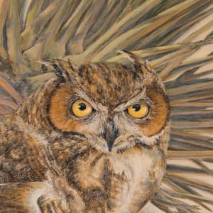 Eyes of Warning: Great Horned Owl in Joshua Tree by Sharon Schafer  Image: Photo by Mikayla Whitmore