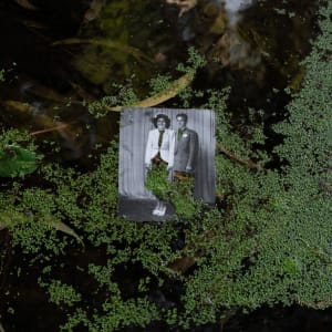 Kuruvungna / Santa Monica, Kuruvungna Village Sacred Springs   (Spring Water, Eucalyptus Leaves, Duckweed) by Amy Elkins